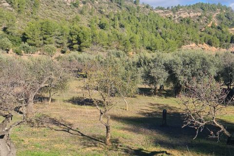 Landejendom i Asco, Tarragona, Asco - € 29.000 | Ref: 1003 Pasco - foto 23